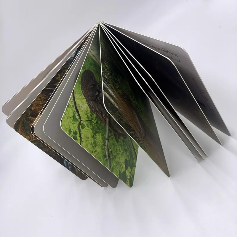 Cardboard Book Printing