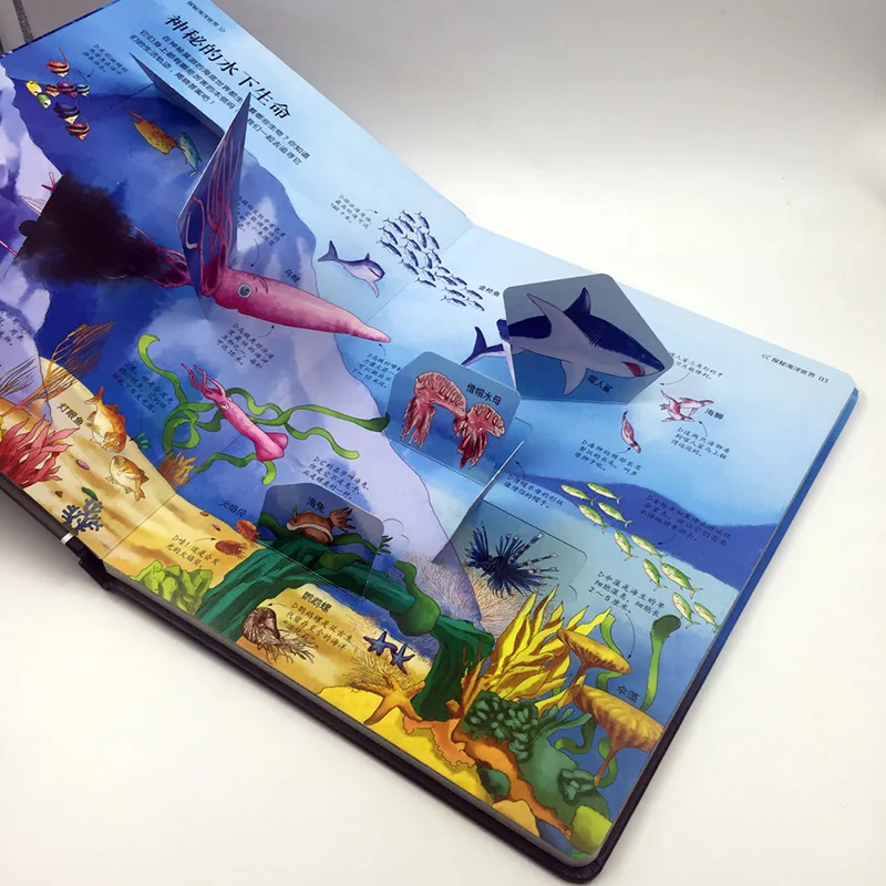 Pop Up Book